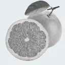 GRAPEFRUIT ESSENTIAL OIL 100% PURE NATURAL Citrus paradisi