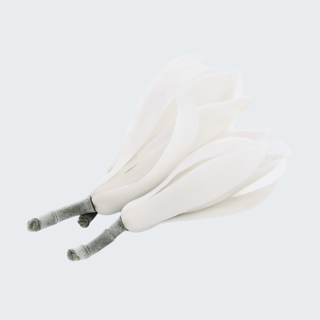 WHITE CHAMPACA (MAGNOLIA) ESSENTIAL OIL 100% PURE) Magnolia x alba
