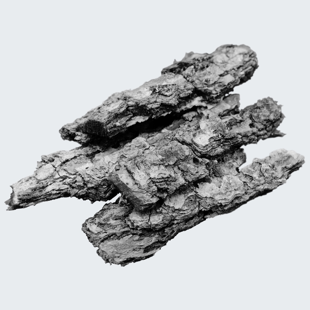 OUD ABSOLUT OIL (AGARWOOD)